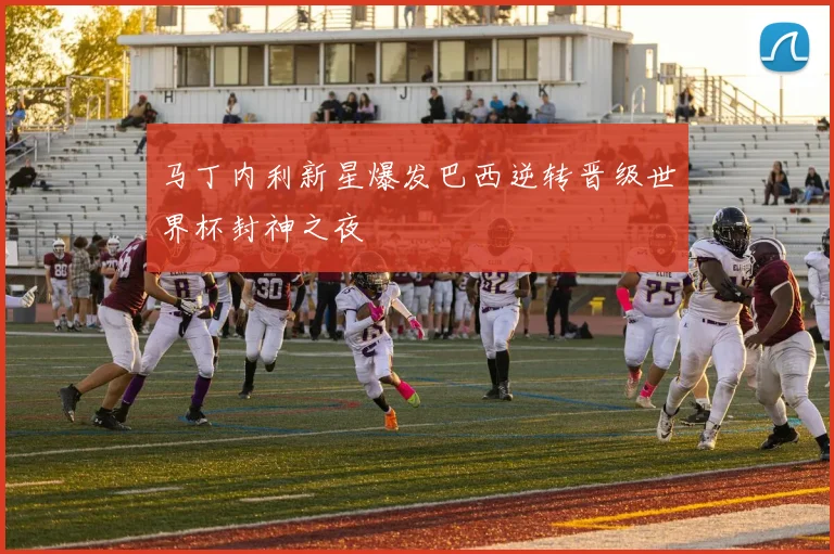 马丁内利新星爆发巴西逆转晋级世界杯封神之夜